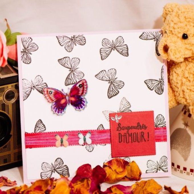  Un amour de papillon